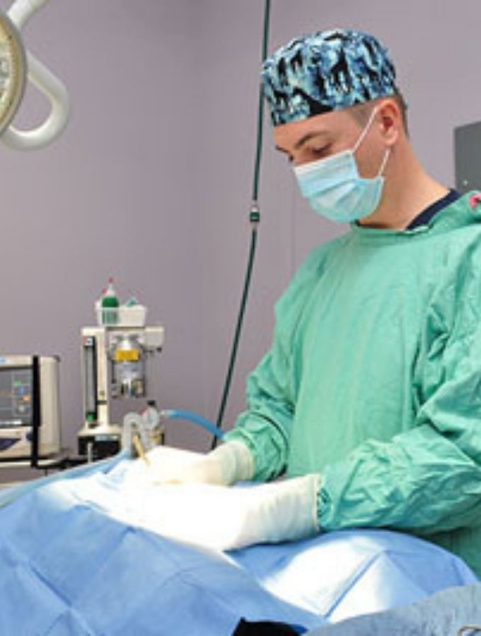 West Ballantyne Animal Hospital Reviews