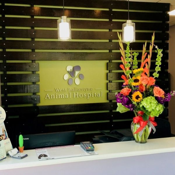 600 x 600 Vector Animal Blocks (1) West Ballantyne Animal Hospital Reviews